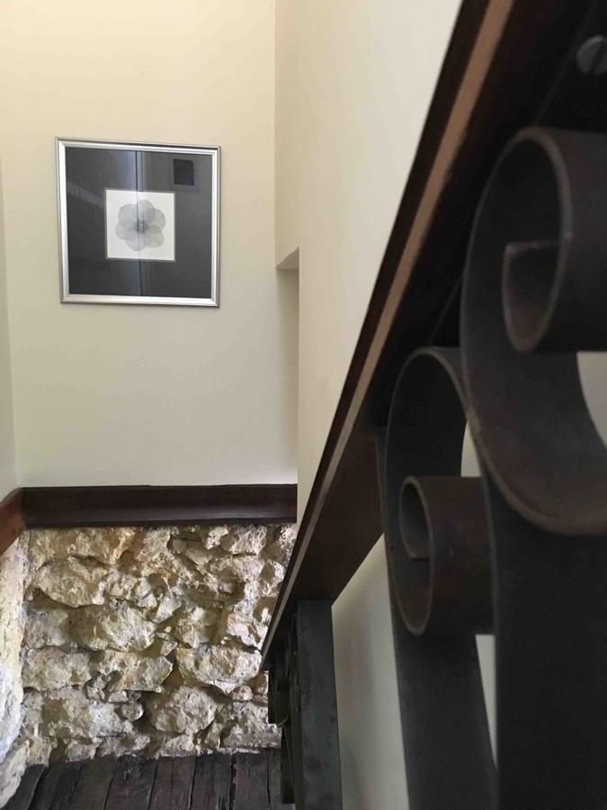 Studio 53 Diamantina Kültér fotó
